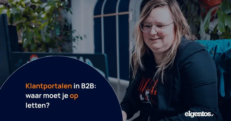 Customer portals in B2B: what should you pay attention to?