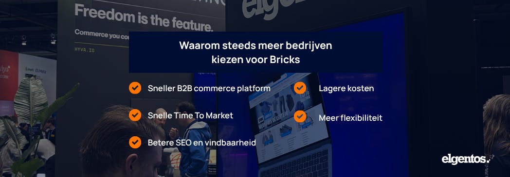 Why more and more companies are choosing Bricks B2B as an accelerator